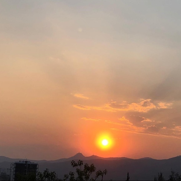 Meet your Posher, Martha - Picture 1 of 1